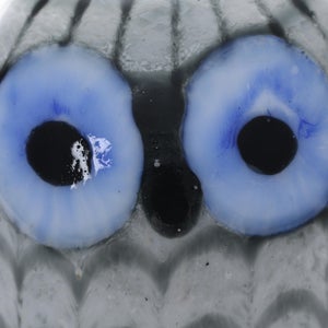 Birds Owlet グレー 0032