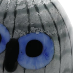 Birds Owlet グレー 0059