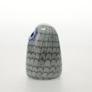 Birds Owlet グレー 0041
