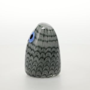 Birds Owlet グレー 0044