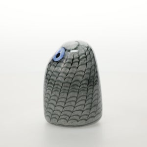 Birds Owlet グレー 0047