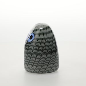 Birds Owlet グレー 0050