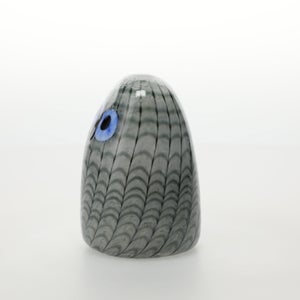 Birds Owlet グレー 0059
