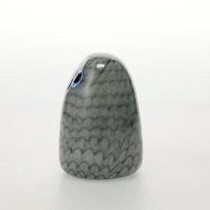 Birds Owlet グレー 0076