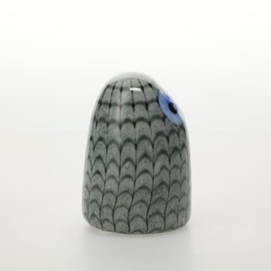 Birds Owlet グレー 0032