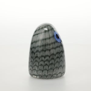Birds Owlet グレー 0044