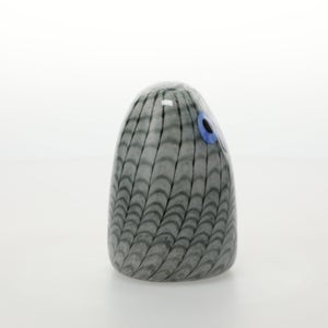 Birds Owlet グレー 0059