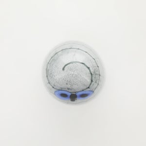 Birds Owlet グレー 0001