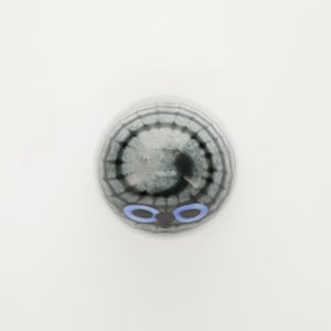 Birds Owlet グレー 0028