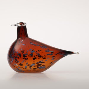 Birds Pekkasiini コッパーブラウン 0001