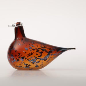 Birds Pekkasiini コッパーブラウン 0002