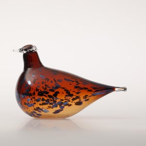 Birds Pekkasiini コッパーブラウン 0004