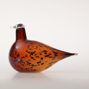 Birds Pekkasiini コッパーブラウン 0007