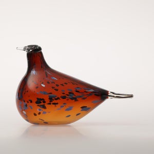 Birds Pekkasiini コッパーブラウン 0008