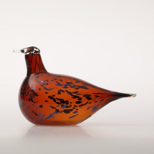 Birds Pekkasiini コッパーブラウン 0009