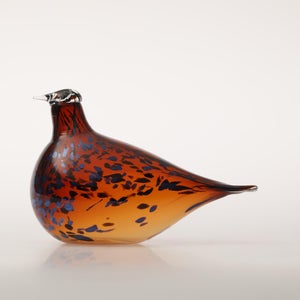 Birds Pekkasiini コッパーブラウン 0013