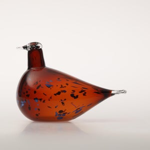 Birds Pekkasiini コッパーブラウン 0014