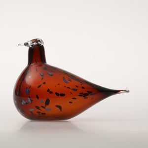 Birds Pekkasiini コッパーブラウン 0015