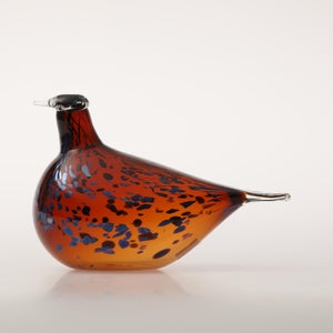 Birds Pekkasiini コッパーブラウン 0018