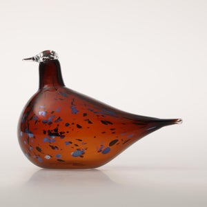 Birds Pekkasiini コッパーブラウン 0020