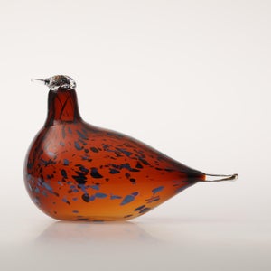 Birds Pekkasiini コッパーブラウン 0023