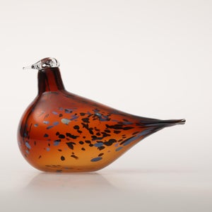 Birds Pekkasiini コッパーブラウン 0024