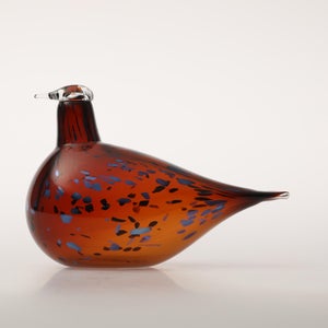 Birds Pekkasiini コッパーブラウン 0025