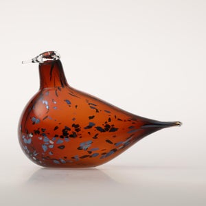 Birds Pekkasiini コッパーブラウン 0029