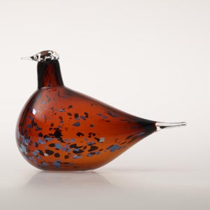 Birds Pekkasiini コッパーブラウン 0032