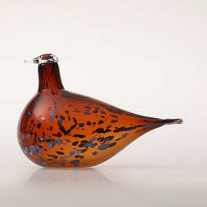 Birds Pekkasiini コッパーブラウン 0033