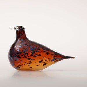 Birds Pekkasiini コッパーブラウン 0034