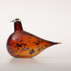 Birds Pekkasiini コッパーブラウン 0035