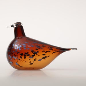 Birds Pekkasiini コッパーブラウン 0036