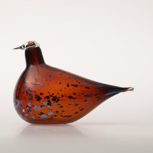 Birds Pekkasiini コッパーブラウン 0038