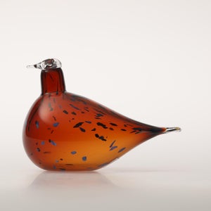 Birds Pekkasiini コッパーブラウン 0039