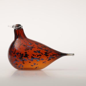 Birds Pekkasiini コッパーブラウン 0040