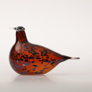 Birds Pekkasiini コッパーブラウン 0044