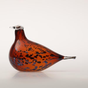 Birds Pekkasiini コッパーブラウン 0048