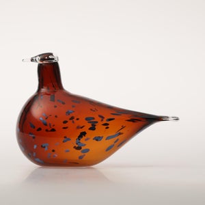 Birds Pekkasiini コッパーブラウン 0050