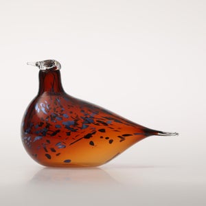 Birds Pekkasiini コッパーブラウン 0051