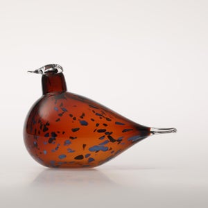 Birds Pekkasiini コッパーブラウン 0054