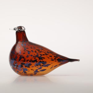 Birds Pekkasiini コッパーブラウン 0056