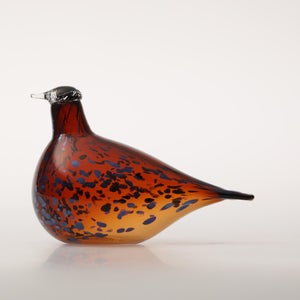 Birds Pekkasiini コッパーブラウン 0059