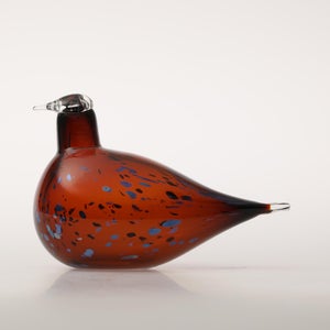 Birds Pekkasiini コッパーブラウン 0060