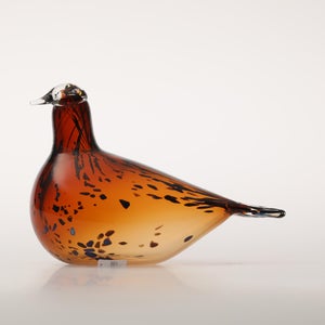 Birds Pekkasiini コッパーブラウン 0061