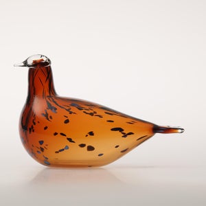 Birds Pekkasiini コッパーブラウン 0062