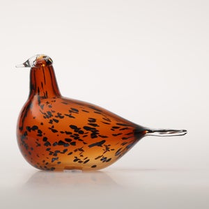 Birds Pekkasiini コッパーブラウン 0063