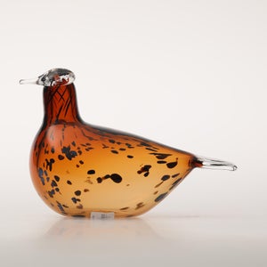 Birds Pekkasiini コッパーブラウン 0064