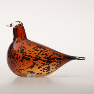 Birds Pekkasiini コッパーブラウン 0065