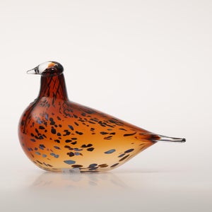 Birds Pekkasiini コッパーブラウン 0066